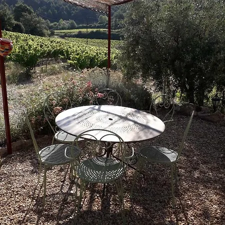 Gite En Provence Au Coeur Des Vignes Villedieu  Exterior photo