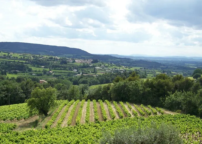 Gite En Provence Au Coeur Des Vignes