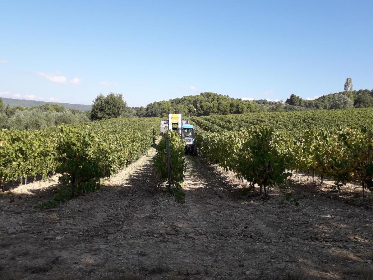 Holiday home En Provence Au Coeur Des Vignes *