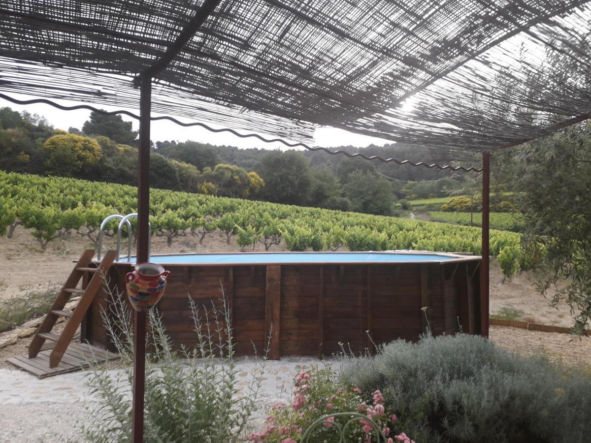 En Provence Au Coeur Des Vignes Holiday home Villedieu (Vaucluse)