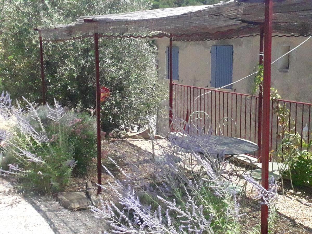 En Provence Au Coeur Des Vignes *