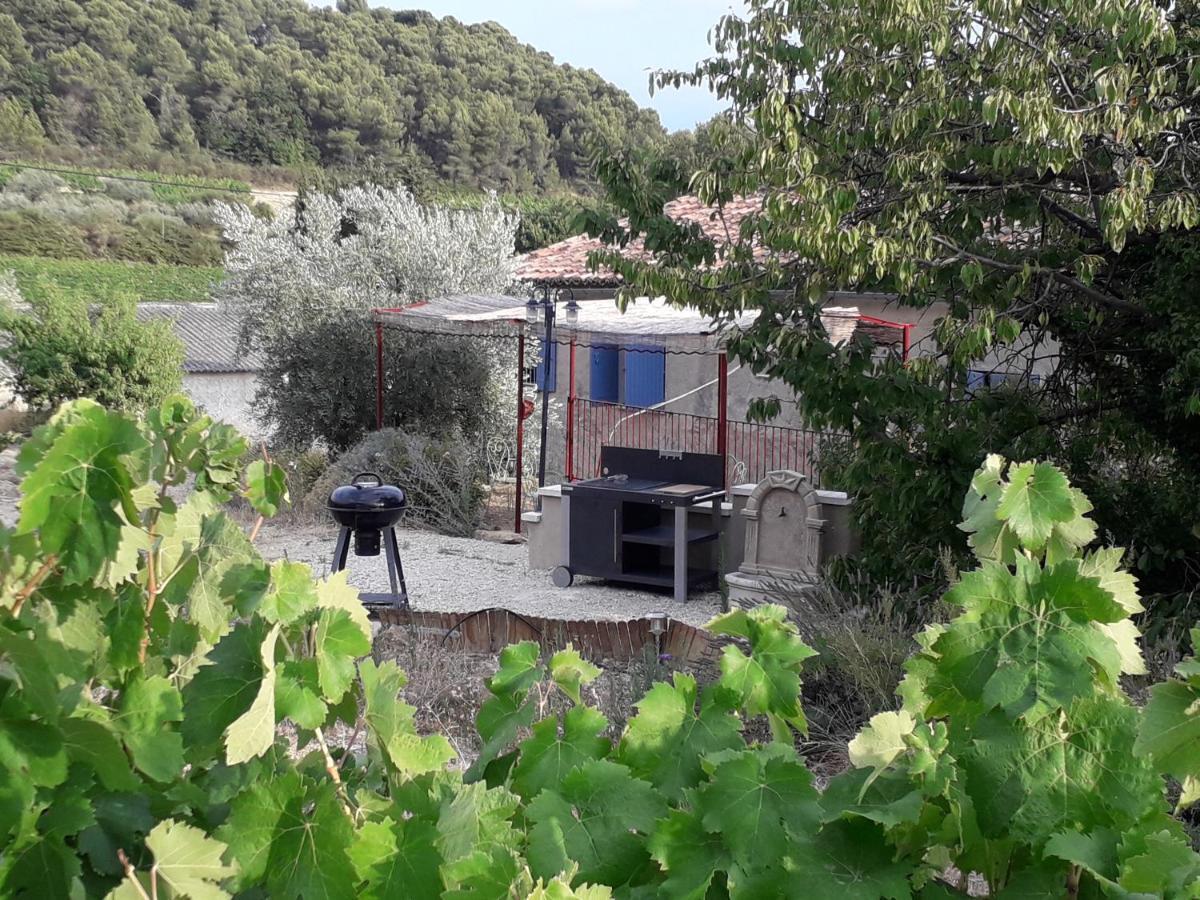 En Provence Au Coeur Des Vignes Villedieu (Vaucluse)
